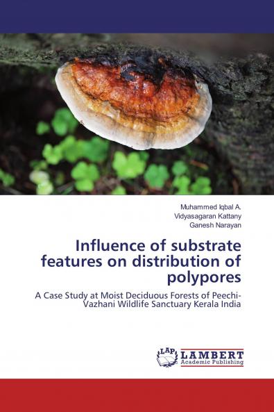 Influence of substrate features on distribution of polypores
