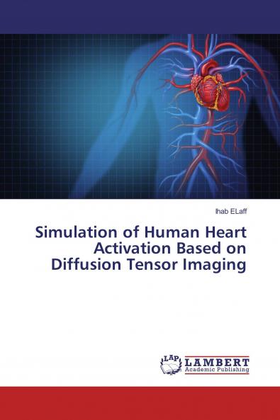 Simulation of Human Heart Activation Based on Diffusion Tensor Imaging