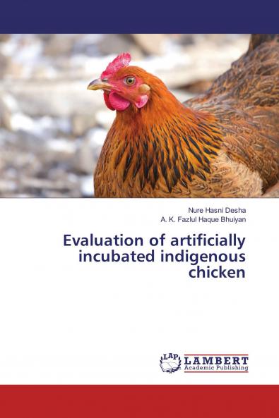 Evaluation of artificially incubated indigenous chicken