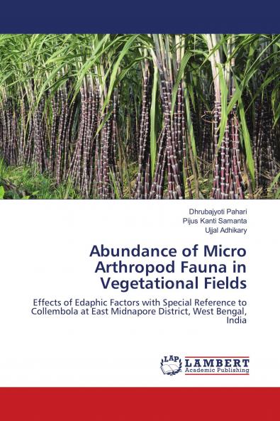 Abundance of Micro Arthropod Fauna in Vegetational Fields