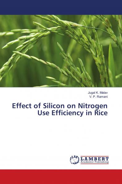 Effect of Silicon on Nitrogen Use Efficiency in Rice
