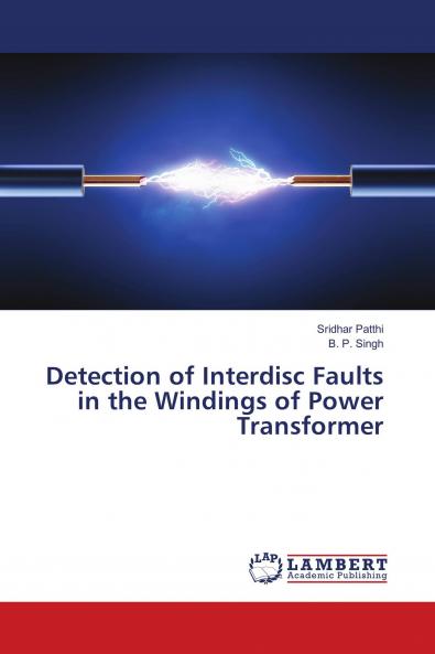 Detection of Interdisc Faults in the Windings of Power Transformer