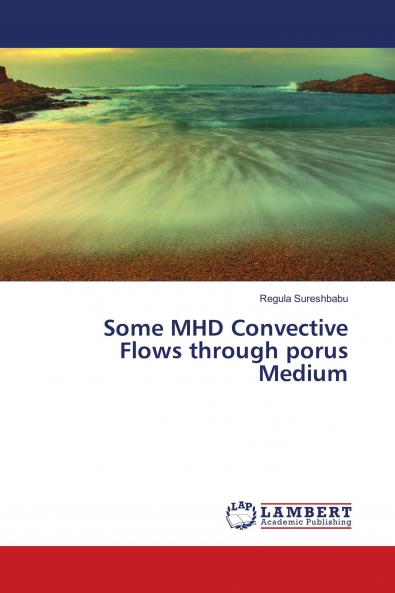 Some MHD Convective Flows through porus Medium