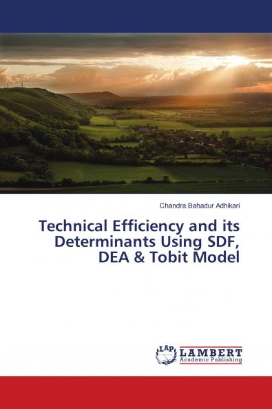 Technical Efficiency and its Determinants Using SDF DEA & Tobit Model