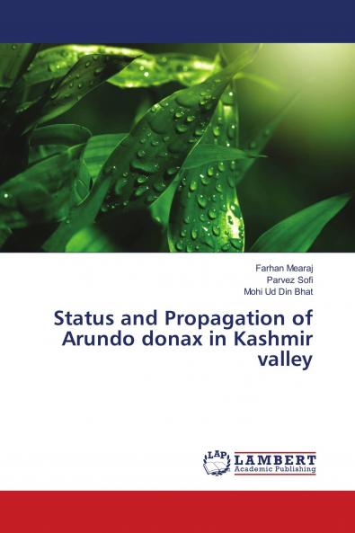 Status and Propagation of Arundo donax in Kashmir valley