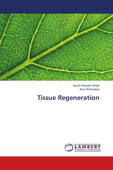 Tissue Regeneration