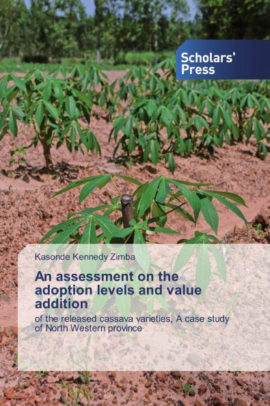 An assessment on the adoption levels and value addition