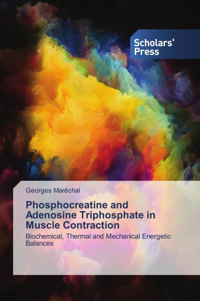Phosphocreatine and Adenosine Triphosphate in Muscle Contraction
