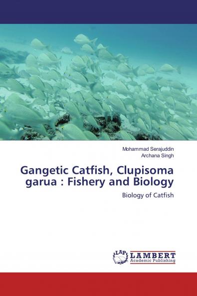 Gangetic Catfish Clupisoma garua