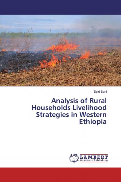 Analysis of Rural Households Livelihood Strategies in Western Ethiopia
