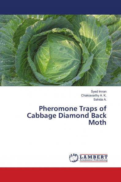 Pheromone Traps of Cabbage Diamond Back Moth