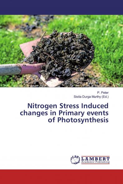 Nitrogen Stress Induced changes in Primary events of Photosynthesis