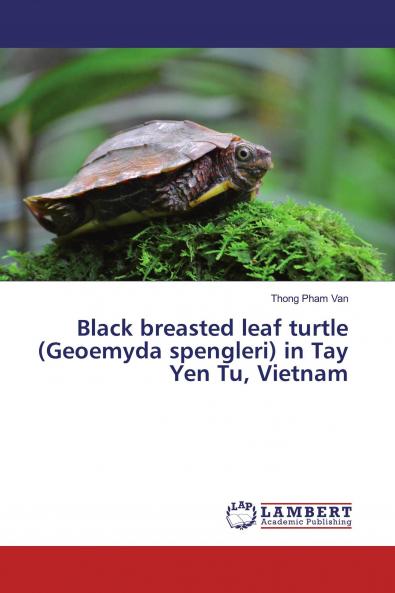 Black breasted leaf turtle (Geoemyda spengleri) in Tay Yen Tu Vietnam