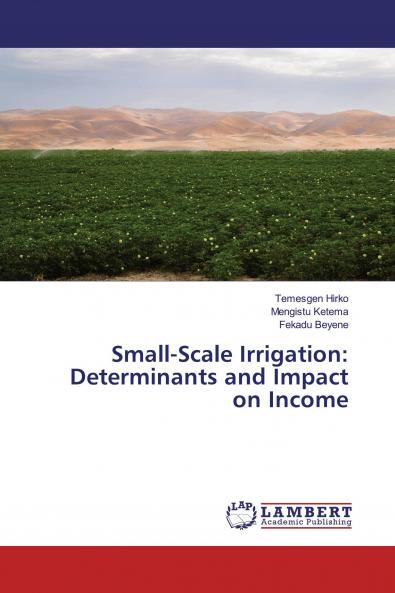 Small-Scale Irrigation: Determinants and Impact on Income
