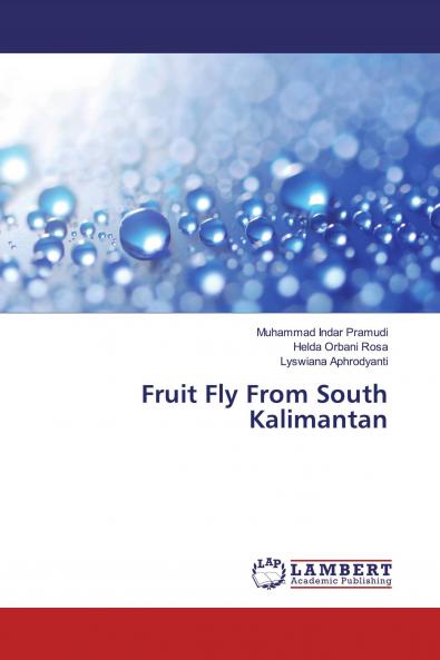 Fruit Fly From South Kalimantan
