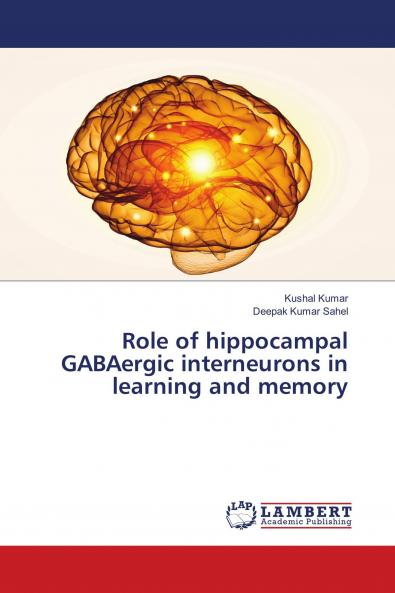 Role of hippocampal GABAergic interneurons in learning and memory