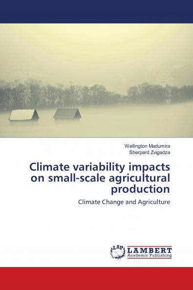 Climate variability impacts on small-scale agricultural production