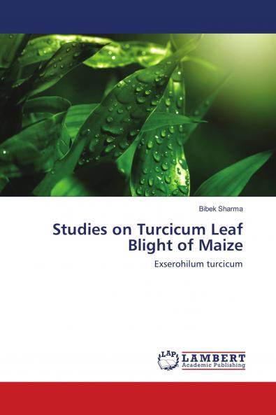 Studies on Turcicum Leaf Blight of Maize