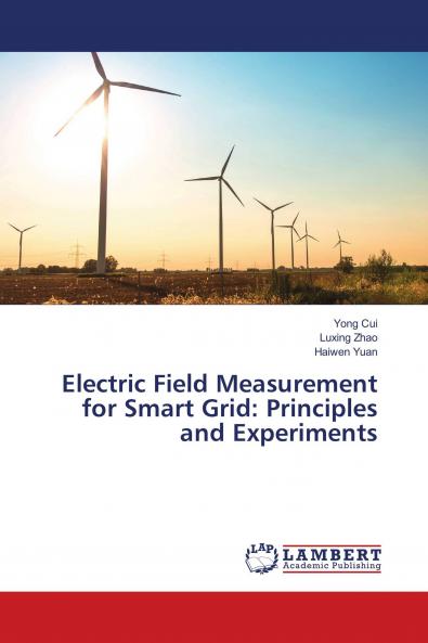 Electric Field Measurement for Smart Grid: Principles and Experiments