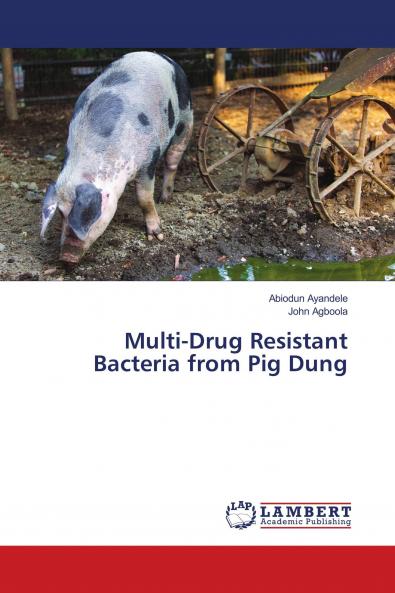 Multi-Drug Resistant Bacteria from Pig Dung