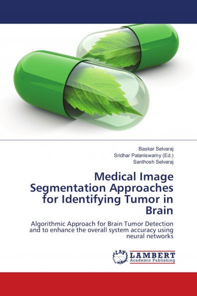 Medical Image Segmentation Approaches for Identifying Tumor in Brain