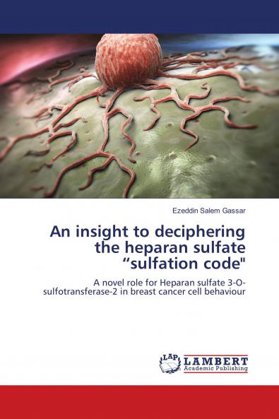 An insight to deciphering the heparan sulfate sulfation code