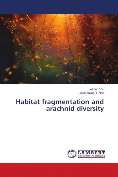Habitat fragmentation and arachnid diversity