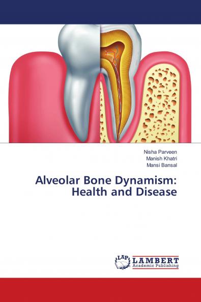 Alveolar Bone Dynamism