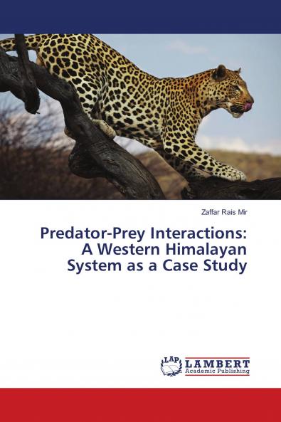 Predator-Prey Interactions