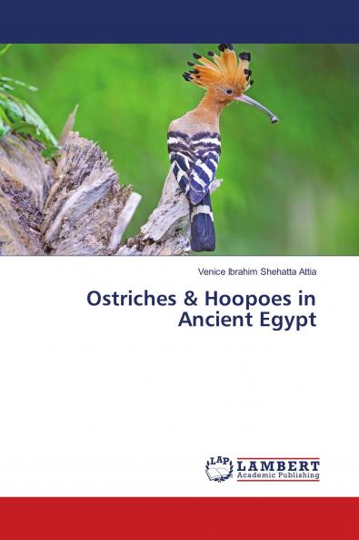 Ostriches & Hoopoes in Ancient Egypt