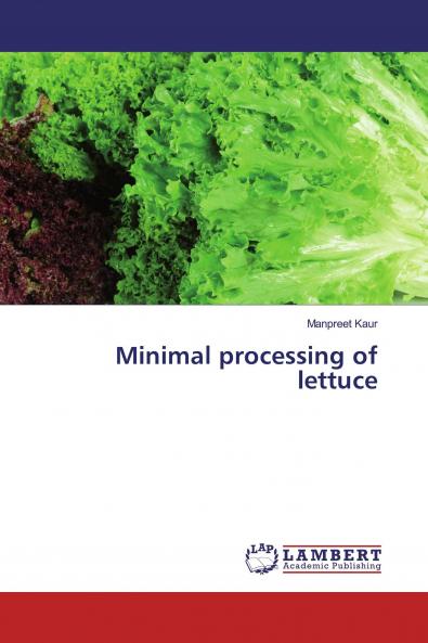 Minimal processing of lettuce