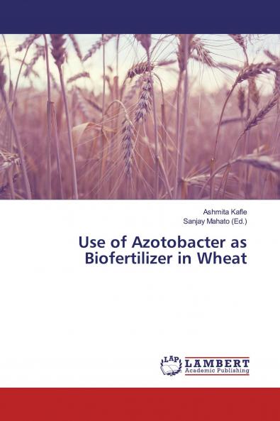 Use of Azotobacter as Biofertilizer in Wheat