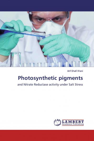 Photosynthetic pigments
