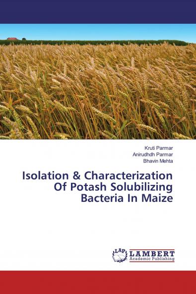 Isolation & Characterization Of Potash Solubilizing Bacteria In Maize