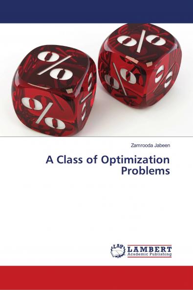 A Class of Optimization Problems