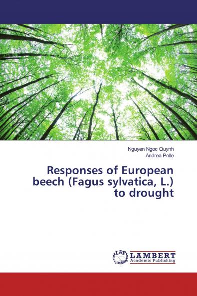 Responses of European beech (Fagus sylvatica L.) to drought