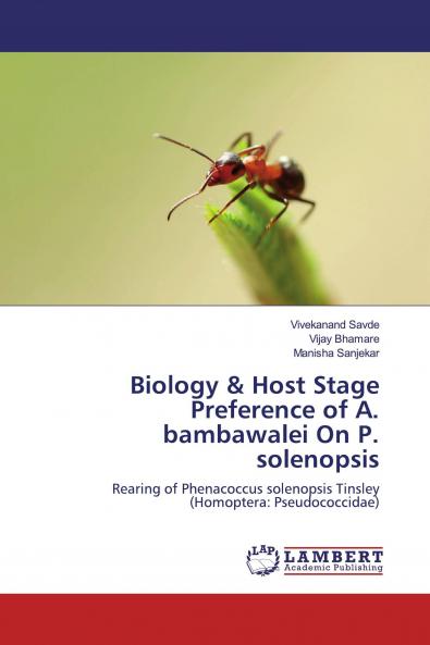 Biology & Host Stage Preference of A. bambawalei On P. solenopsis