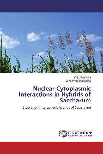 Nuclear Cytoplasmic Interactions in Hybrids of Saccharum