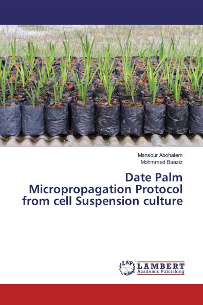 Date Palm Micropropagation Protocol from cell Suspension culture