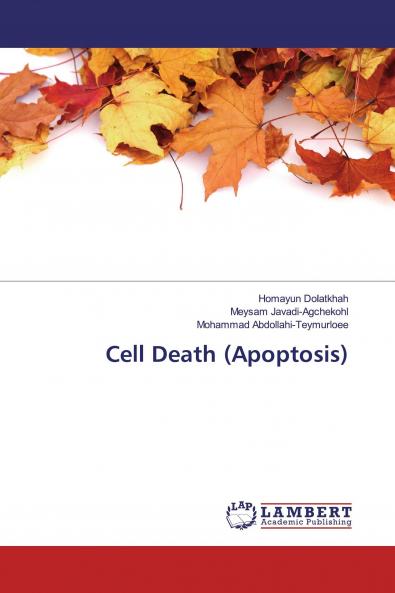 Cell Death (Apoptosis)
