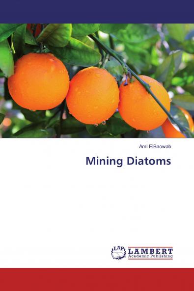Mining Diatoms
