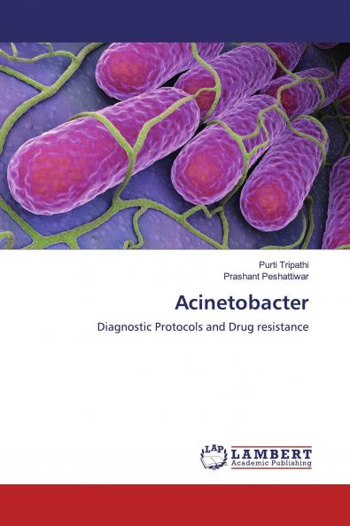 Acinetobacter