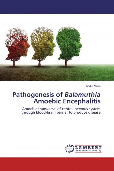 Pathogenesis of Balamuthia Amoebic Encephalitis