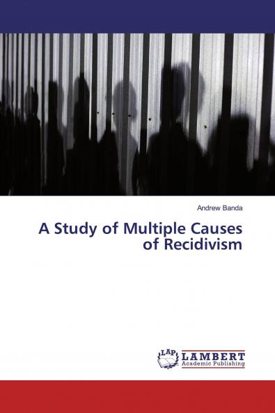 A Study of Multiple Causes of Recidivism