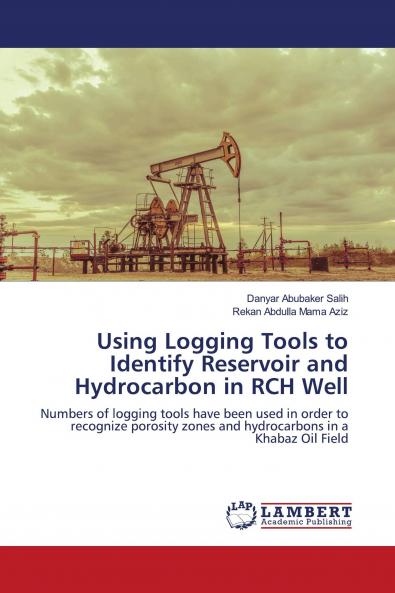 Using Logging Tools to Identify Reservoir and Hydrocarbon in RCH Well