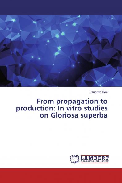 From propagation to production