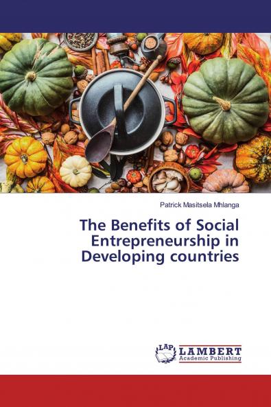 The Benefits of Social Entrepreneurship in Developing countries