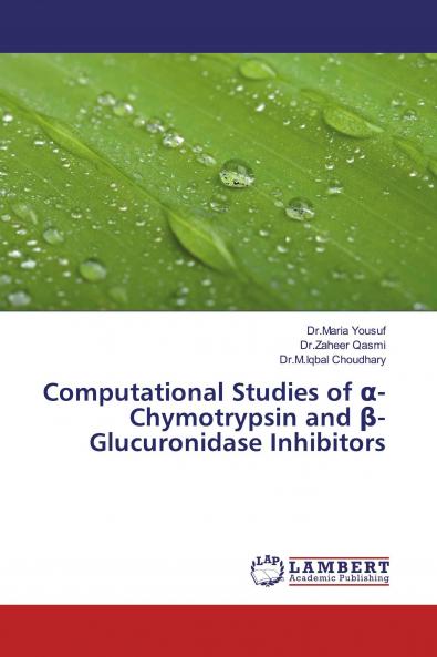 Computational Studies of ��-Chymotrypsin and ��-Glucuronidase Inhibitors