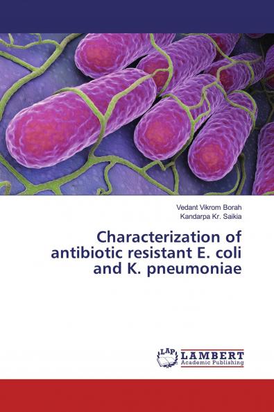 Characterization of antibiotic resistant E. coli and K. pneumoniae