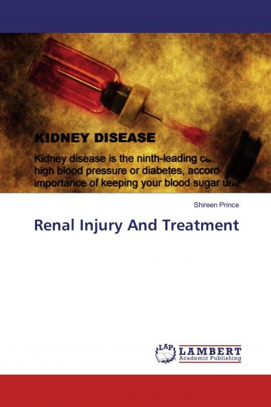 Renal Injury And Treatment